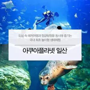 [하프클럽/셀러허브_아웃도어]아쿠아플라넷 이용권 (일산점) 코스트코 코와