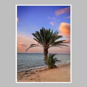 깔금한액자 palm beach A3사이즈 거실액자 깔끔한액자 공간그림