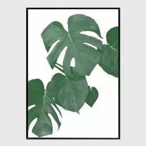 사무실액자 Monstera Aqua 01 A3사이즈 거실액자 깔끔한액자 공간그림