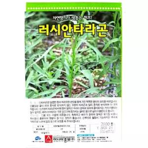 종묘 러시안타라곤 종자 씨앗 허브 쓴맛