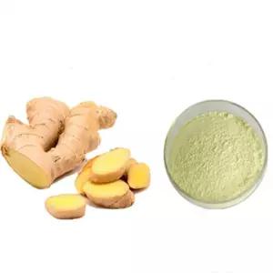 생강추출분말 1kg