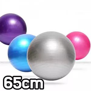 TBZ JT 짐볼 임산부 필라테스 65cm-WFMTBRH