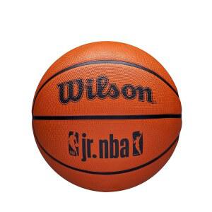 윌슨 농구, 주니어 NBA DRV 플러스, 야외 및 실내