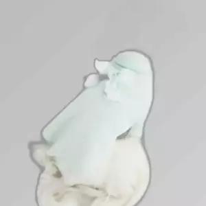 강아지 러플 폴라티 민트 1P 셔링 도트 레이스 터틀넥