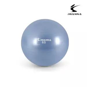 안티버스트 짐볼 65cm 라벤더필라테스 헬스 피트니스 운동 근력