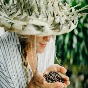 하와이 8일 #힐튼하와이안빌리지 #리조트뷰 #공항 호텔 셔틀포함 #에어텔 #하나스마트카드