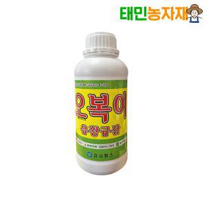 유황규산 오복이 1L 수용성 유황 유기농 액상 영양제 비료 고추