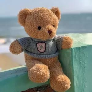 곰인형 30cm 선물용 봉제인형 테디베어 애착인형 곰돌이인형