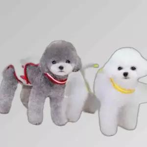 애완견 2컬러 강아지 과일 홀터넥 산후복 중성화복