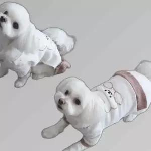 반려견 사계절 봄 여름 티셔츠 스타일 원피스 패션