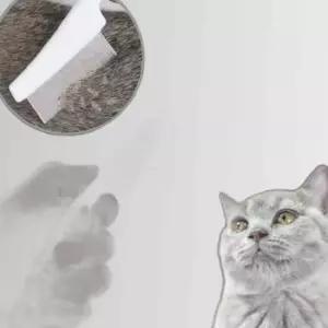 강아지 고양이 눈꼽빗 스테인리스 이물질 제거 브러쉬