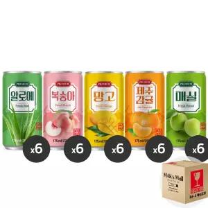 막스 미니 캔음료 혼합세트 다인 알로에 175ml 6개 복숭아 망고 제주감귤 매실 190ml 간식 생일파티 선물