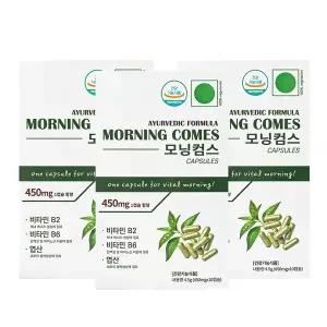비타민B 엽산 450mgX30정