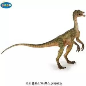 유아용품 파포 콤프소그나투스