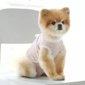 [반려] 누빔 핑크 1P 에어메쉬 데일리 S 강아지 조끼 나시