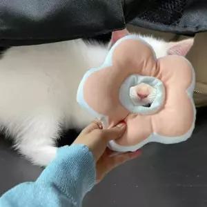 [반려] 강아지 고양이 꽃피는 S 넥카라 쿠션 핑크