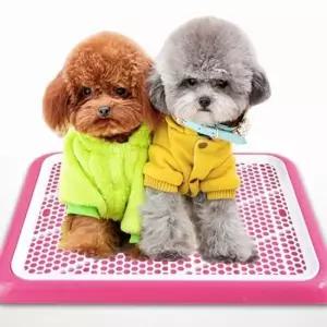 [반려] 반려견 화장실 훈련 패드 배변판 강아지용 강아지패드 애견배변판 소변판