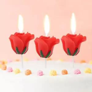 PL 실속형 생일초 해피니스 장미꽃 생일초 3p세트(레드) No20