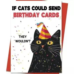 검은 고양이 생일 카드 보내면 안 될다면 를 위한 유머러스한 빨간 봉투가 함께 제공됩니다