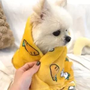 극세사 소형견 애견 담요 M사이즈 보온 펫 강아지 겨울 이불