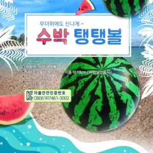 비치볼 수박 축구공 탱탱볼 KC인증 수박공 물놀이공 물놀이용품