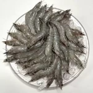 국내산 활 새우 500g(20~23미 내외)
