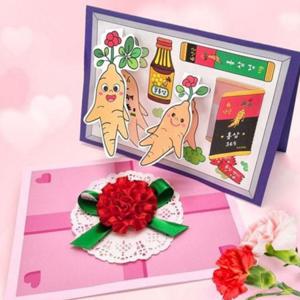 카네이션 어버이 날 카드 5인묶음포장 부모님 감사 선물 카드 만들기
