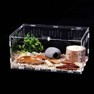 파충류 투명아크릴 사육장 25x15x15CM 도마뱀아크릴사육장 아크릴케이지