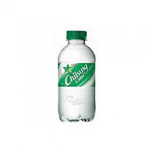 롯데칠성 사이다 300ml 펫 x 20