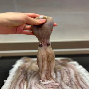 [푸디앤] 미식가들이 찾는 연포탕 급냉 낙지 중 900g(6미) / 재미와 감칠맛 낙지호롱 900g (21-30미)