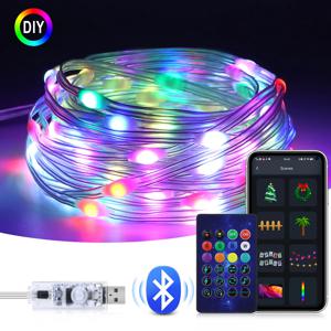 갈 랜드 USB 5V WS2812B 블루투스 LED 문자열 요정 조명 Dreamcolor RGBIC 주소 지정 가능 파티 크리스마스 조명 웨딩 장식