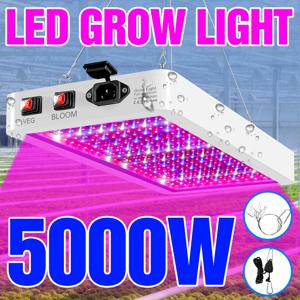 5000W 실내 LED 식물 재배등 LED 식물 램프 전구 220V 풀 스펙트럼 식물등 4000W 110V 수경재배 램프 LED 패널 전구
