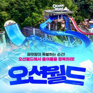 ㅣ지락페ㅣ비발디파크 오션월드 워터파크 입장권  오션월드