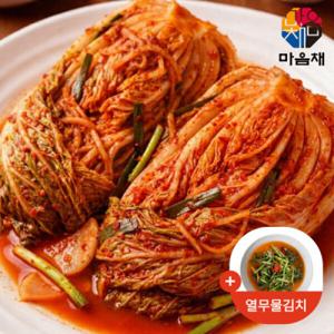 (신선집중) 마음채 국내산 포기김치 10kg(증정)열무물김치 800g / 해남배추 / 100% 국내산 재료