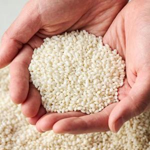 강화섬쌀 찹쌀 10kg x 1