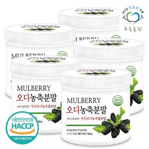 [푸른들판] 국산 오디 농축 분말 180gx5통 뽕나무 열매 오디뽕 가루 파우더 차 멀베리