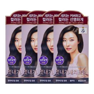 [미쟝센]려 우아채 염색약 새치크림 4N 짙은갈색 x4