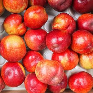 Fresh 새콤달콤 의성 대석 로얄대석 자두 왕특 2.5kg 80g이상 박스출고