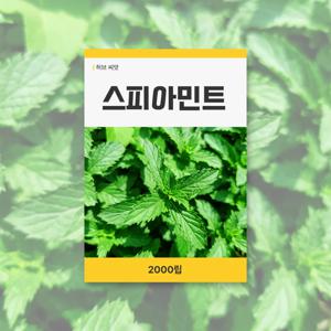 스피아민트 씨앗 2000립 허브 잔디 씨앗 새싹 키우기