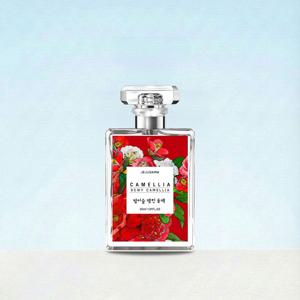 시그니처 밤이슬 맺힌 동백 향수 30ml