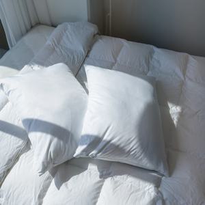 항균 마이크로화이바 베개 (500*700mm / 1.2kg)