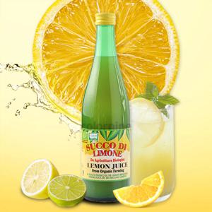 유기농 100%레몬쥬스 500ml 유로푸드 레몬수 착즙 레몬주스 하이볼