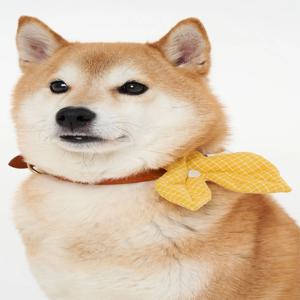 언발란스한 잎사귀가 포인트 감성새싹 나들이에 귀여운 목꾸템