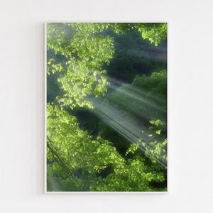 여름 숲 하늘 풍경 인테리어 포스터 액자 light003