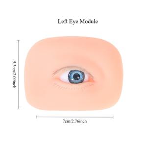 TEMU 초보자를 위한 상/하눈썹, 눈가 리프팅 기능, 싱글 트위저 훈련 모듈이 있는 올인원 속눈썹 연장 연습 도구