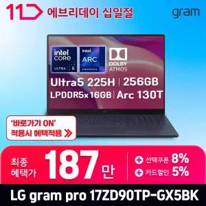 [최.종.1.8.7.만] LG 그램프로17 / 17ZD90TP-GX5BK - RAM 16GB / SSD 256GB / 오피스밸류팩 증.정 / ND