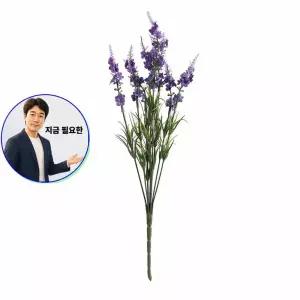 지금 필요한 바이올렛 조화 인테리어 열매장식 델피니움 플라워가든