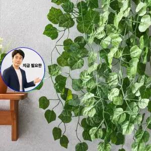 지금 필요한 인조덩굴 12p 벽장식 포도줄기 넝쿨세트 넝쿨 조화 조경소품