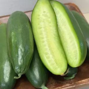 국내산 스낵 미니오이 4kg 80개내외