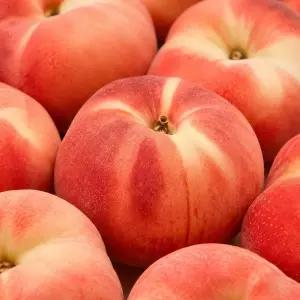 국내산 대극천 복숭아 아삭한 딱딱이 반납작 복숭아 4kg